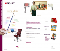 SENAT Consulting Services